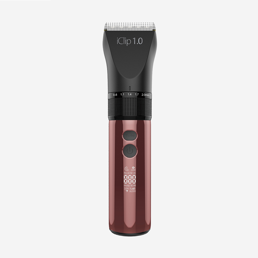 iClip 1.0 GIUBRA Перукарське знаряддя